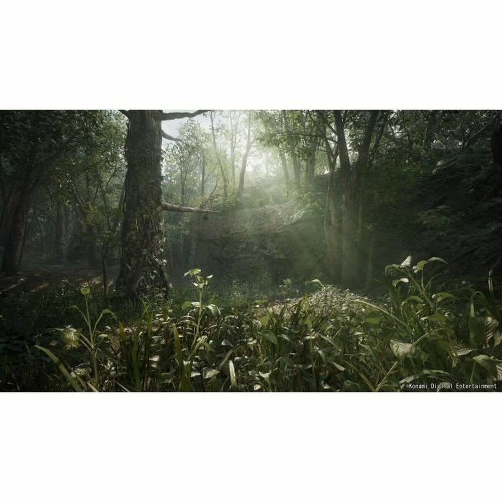 V2H2F1A10479704B5B832B7555708154294R7049406P5