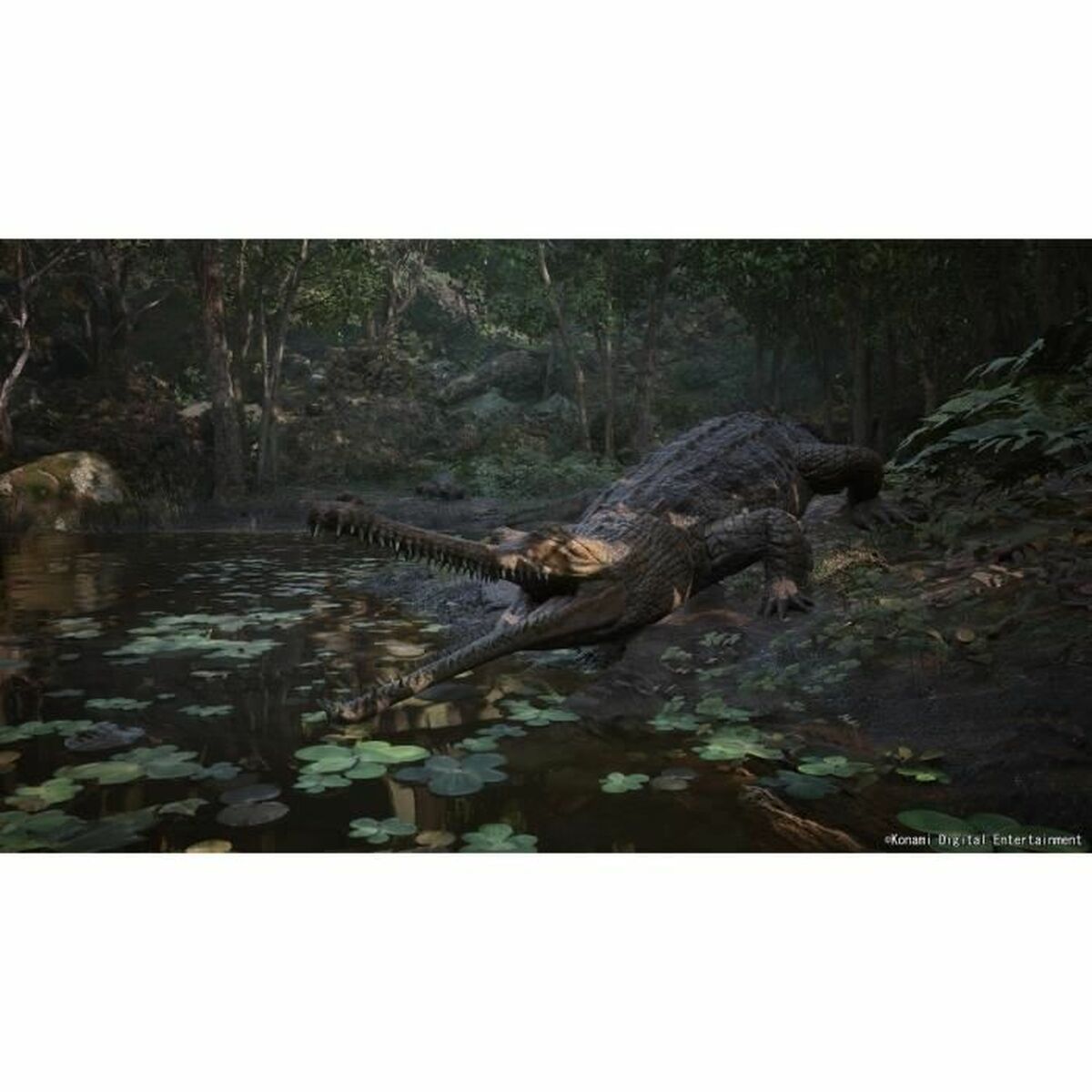 V2H36D6642095E7C12D1F32305A28246865R7049410P6