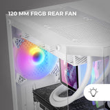 V1H2DCB758137065366460B8575C1069C48RP6